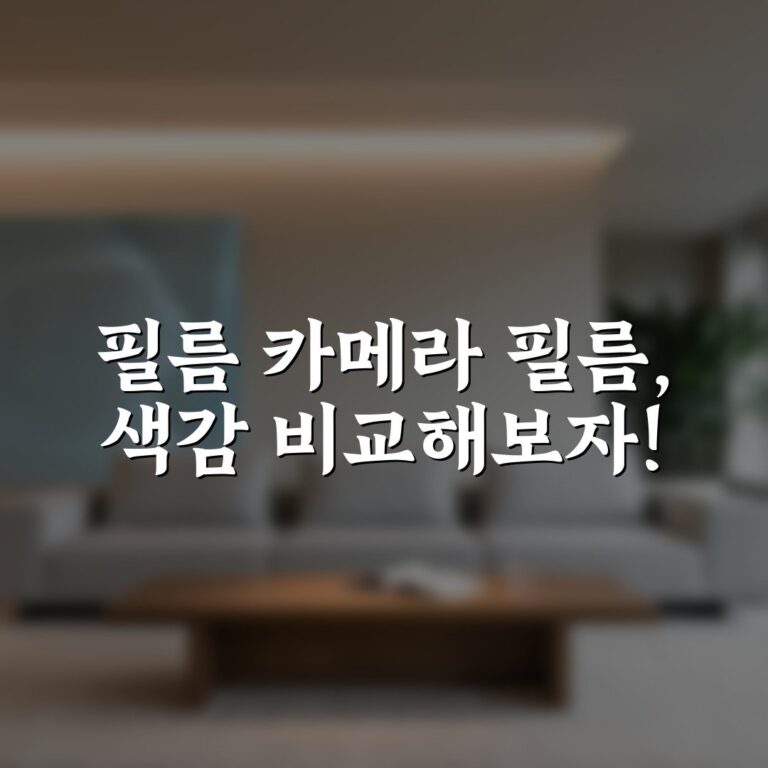 필름 카메라 필름, 색감 비교해보자!