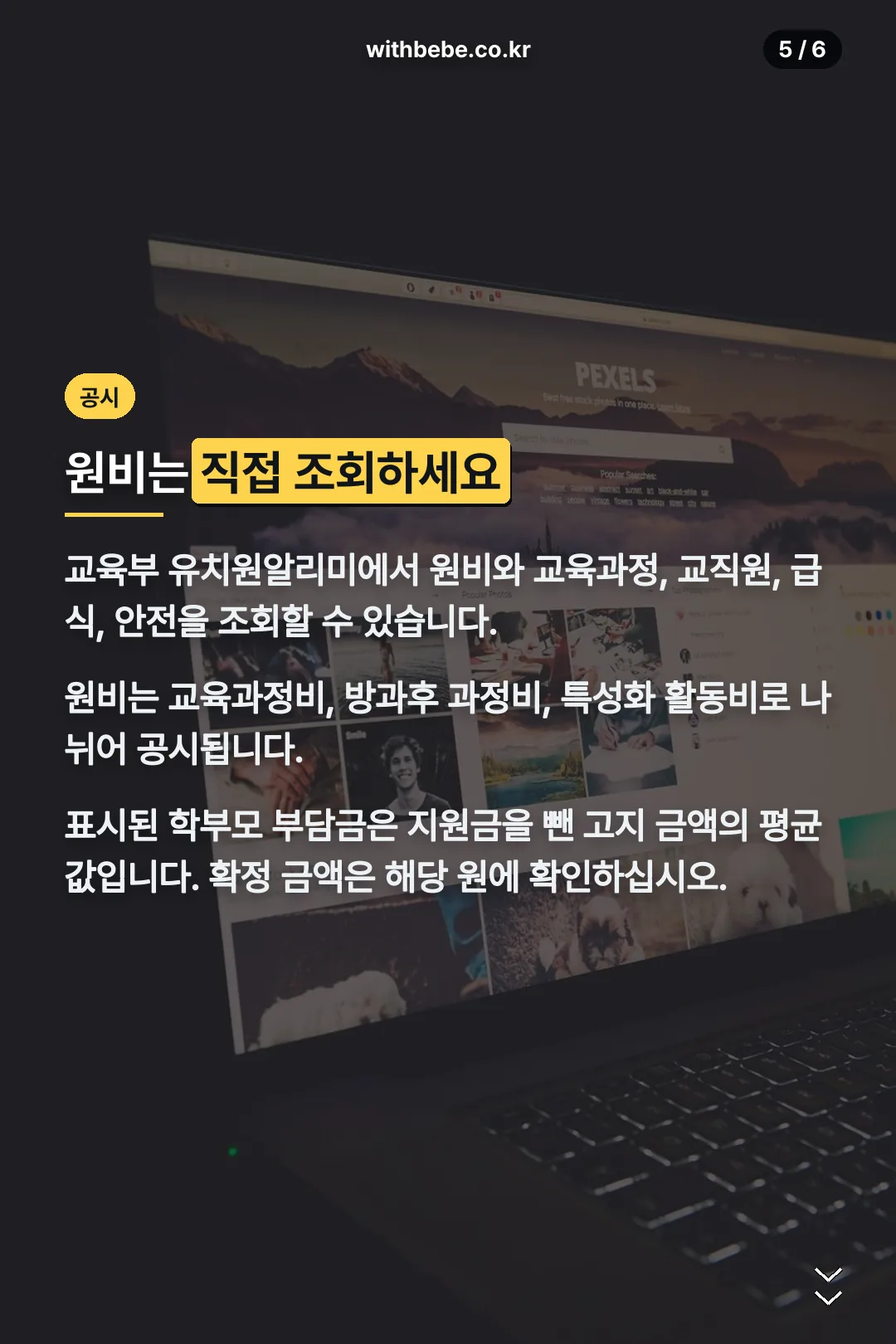 유치원알리미 조회