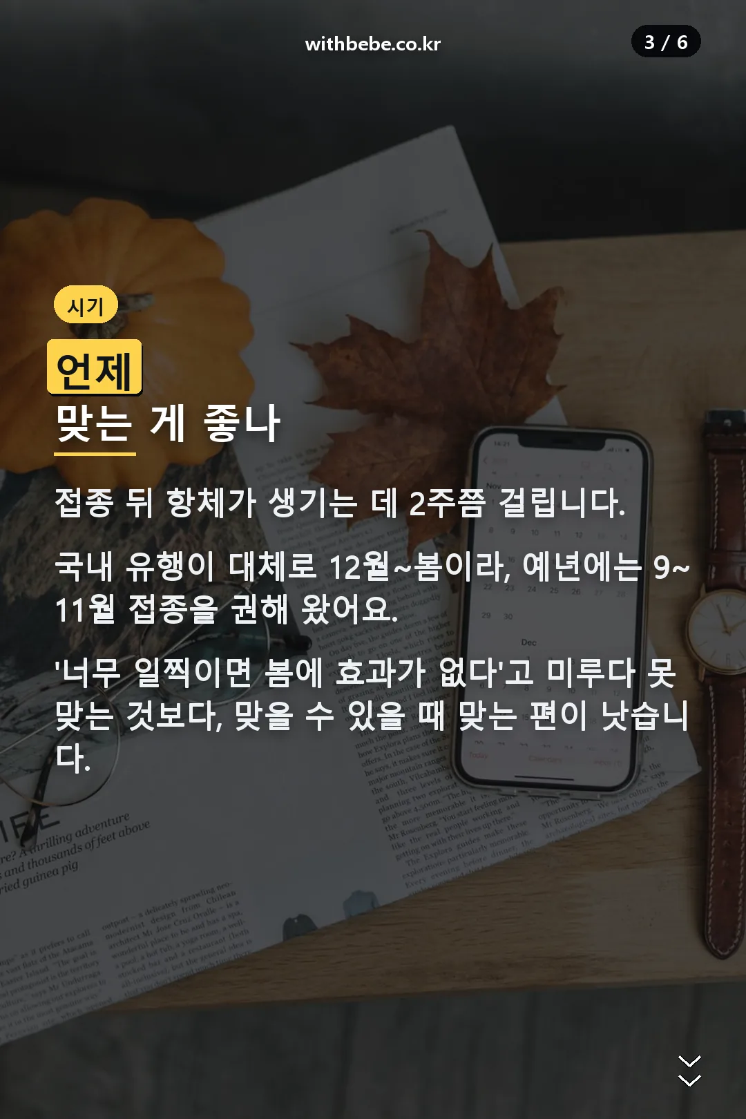 접종 시기