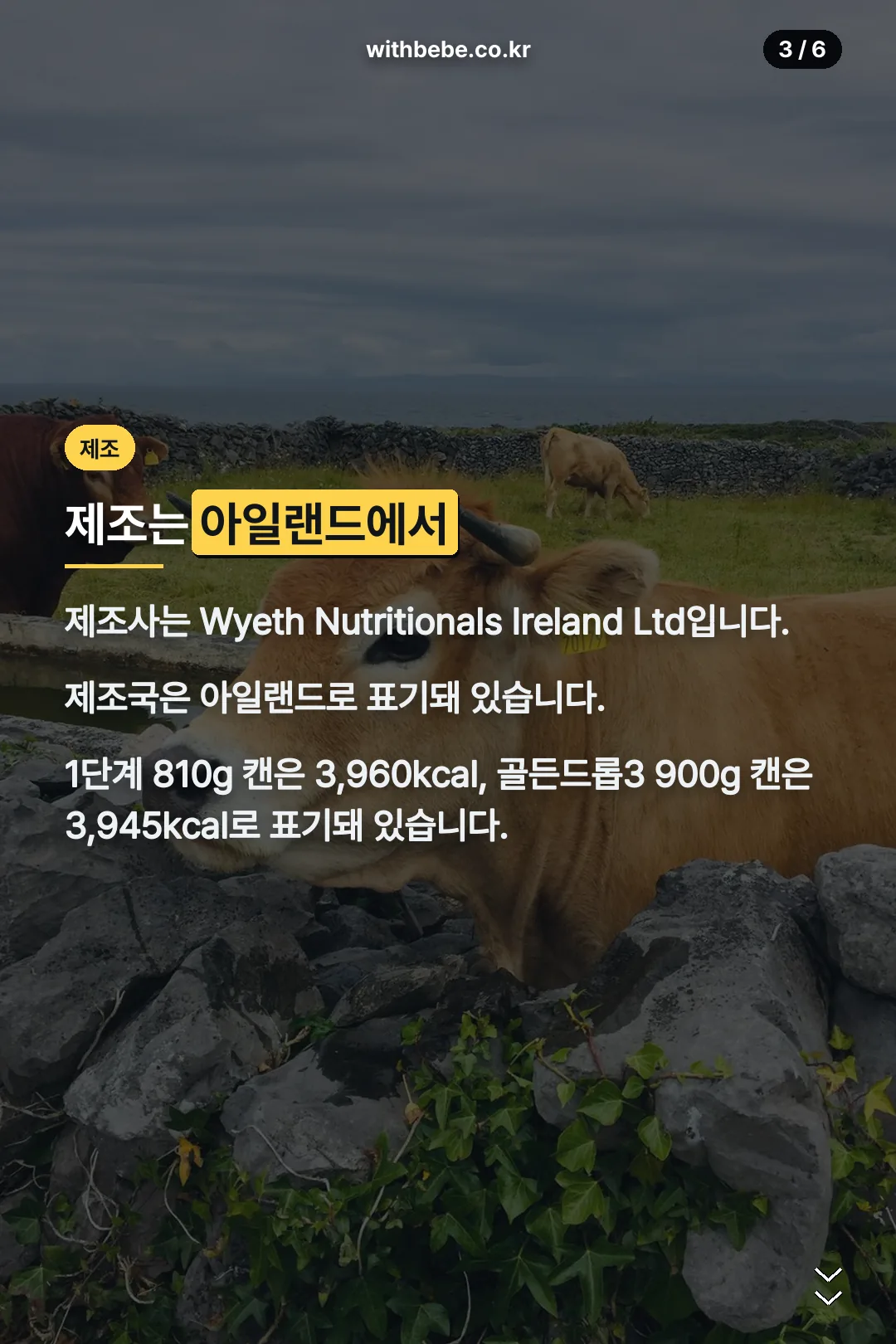 제조사·원산지