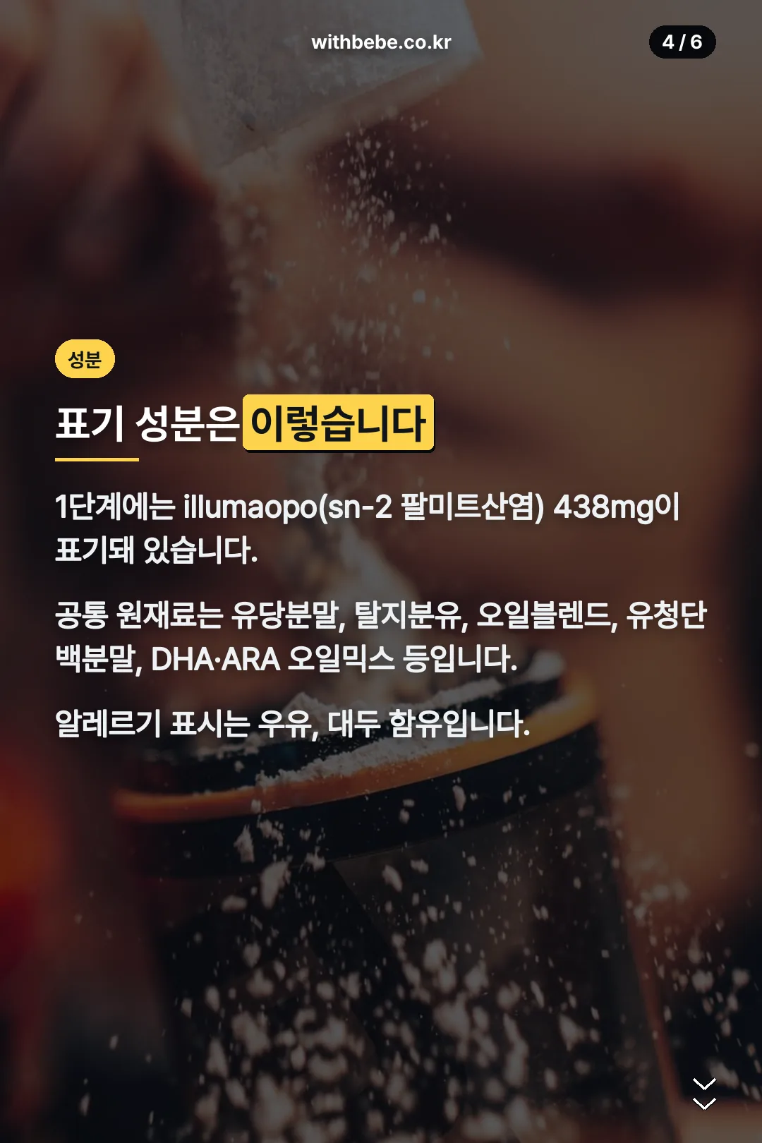 표기 성분