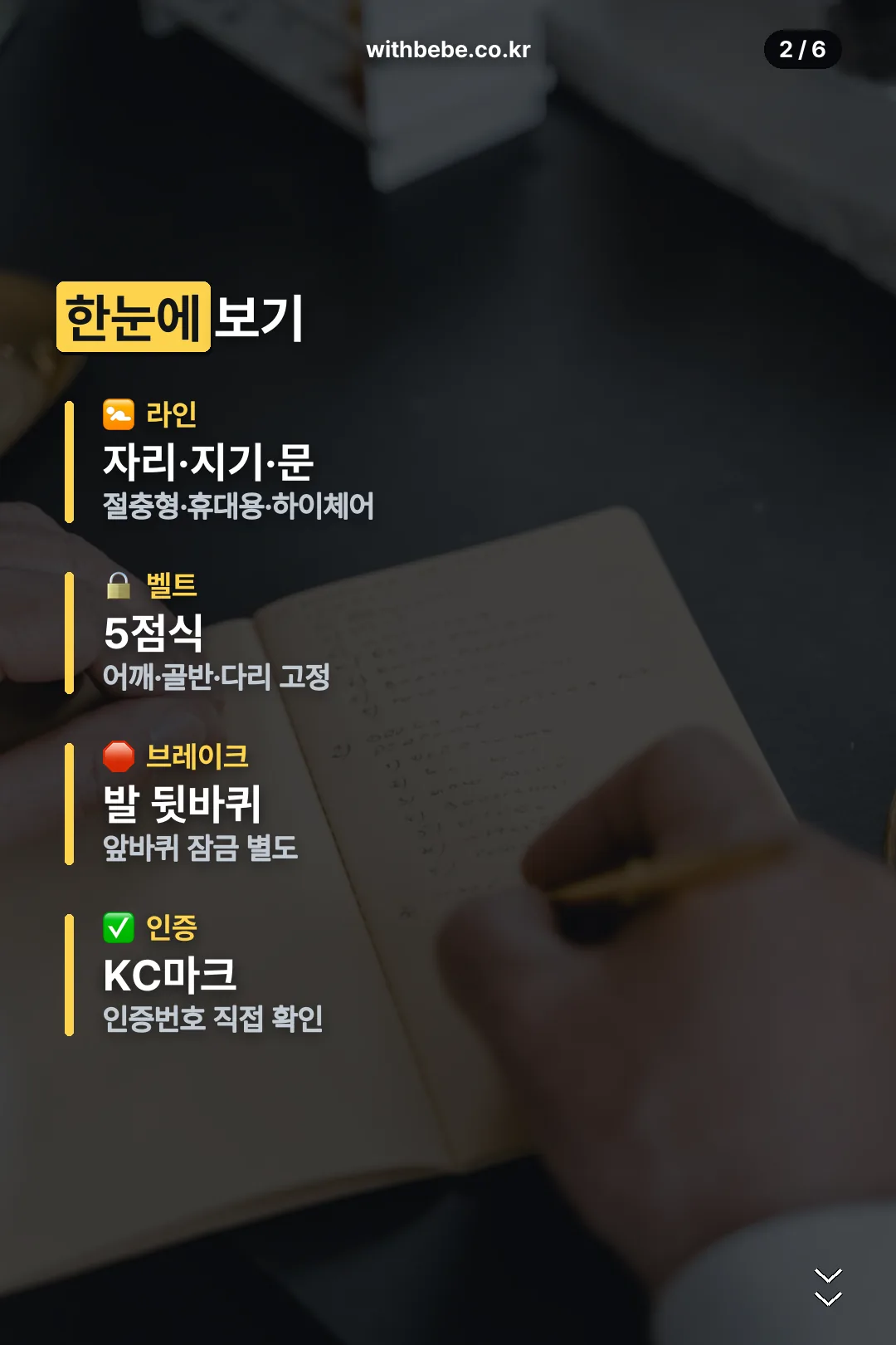 라인·벨트·인증 요약