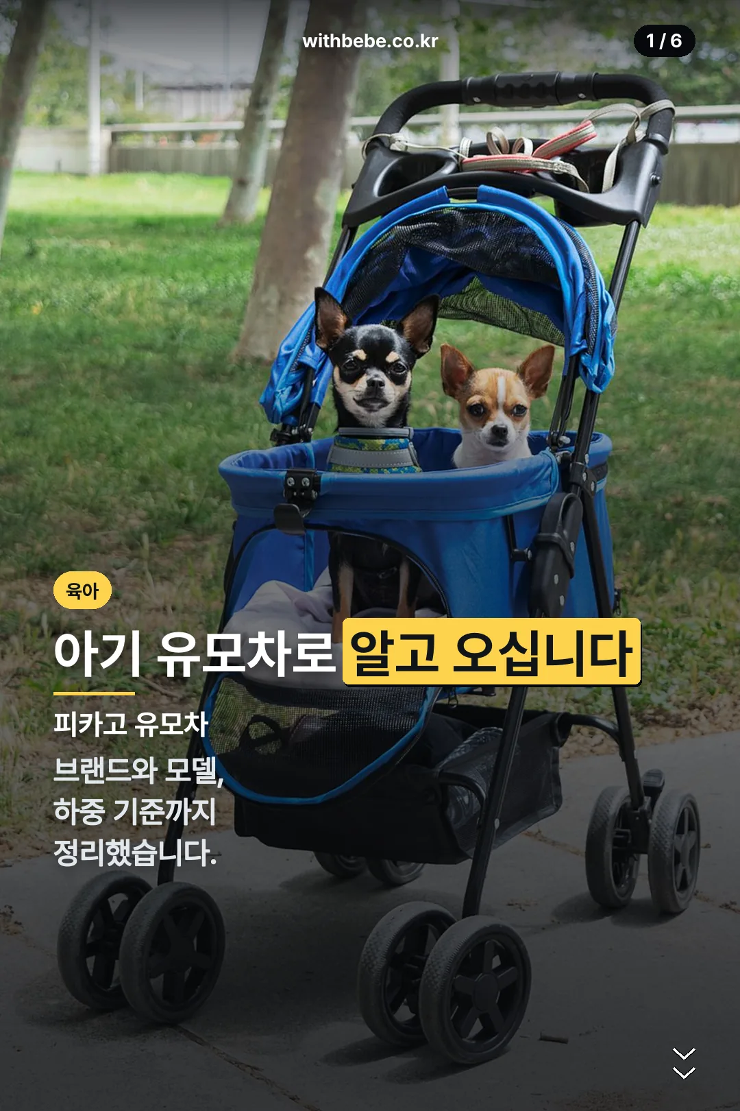 피카고 유모차 표지