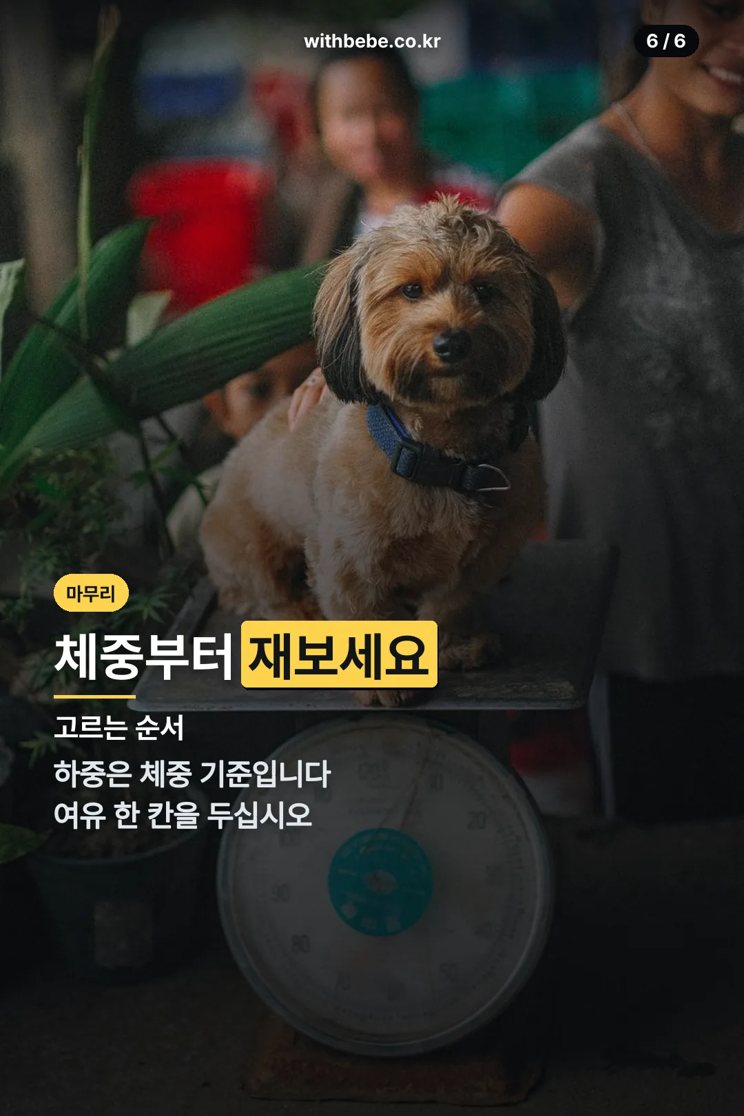 고르는 기준