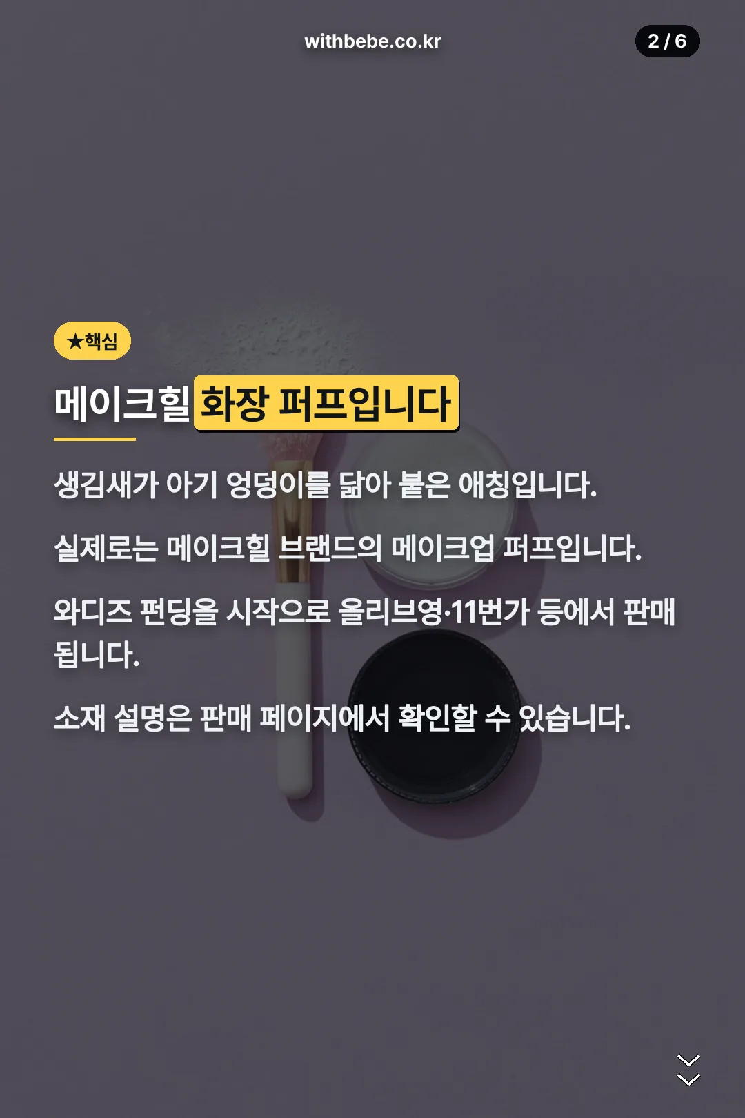 정체 소개