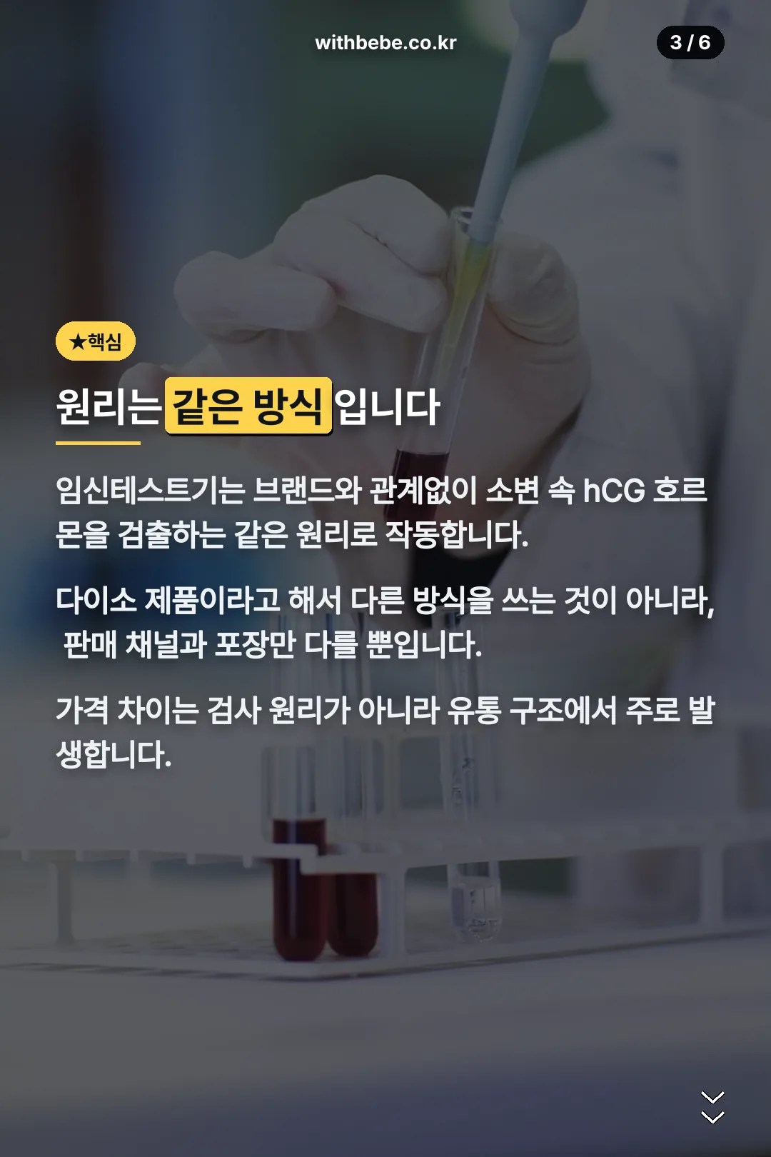 검사 원리 설명