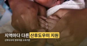 산후도우미 정부지원 소득기준 정리 썸네일